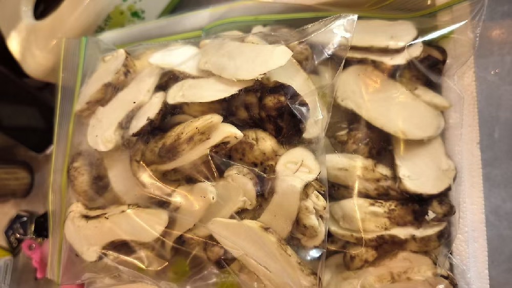 Employee benefits 丨 Hungry Ghost Festival : Tricholoma matsutake